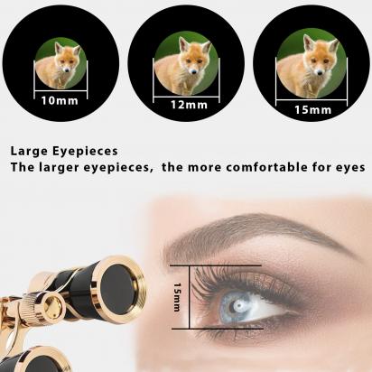 Which Is The Best Binoculars?