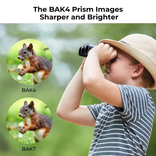 Extended-Range Magnification