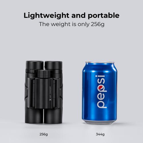 Low-Light Celestial Observation