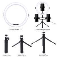 Which Ring Light Is Best?
