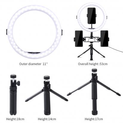 Which Ring Light Is Best?
