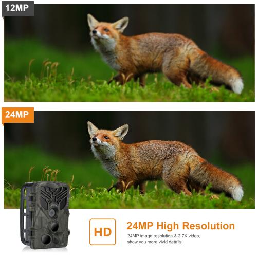 Automatic Motion Triggered Capture