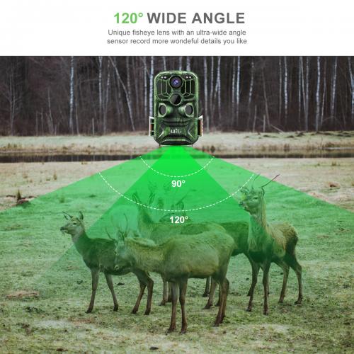 Motorized Auto Tracking