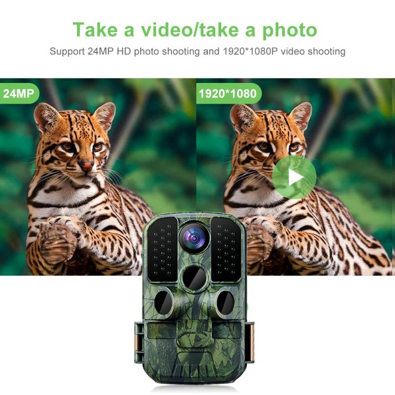 how to set up wildlife camera 4