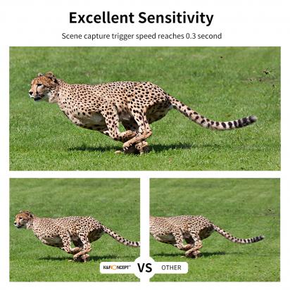 How To Find Night Vision Camera?
