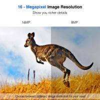 As Cameras De Segurança Gravam Quanto Tempo ?