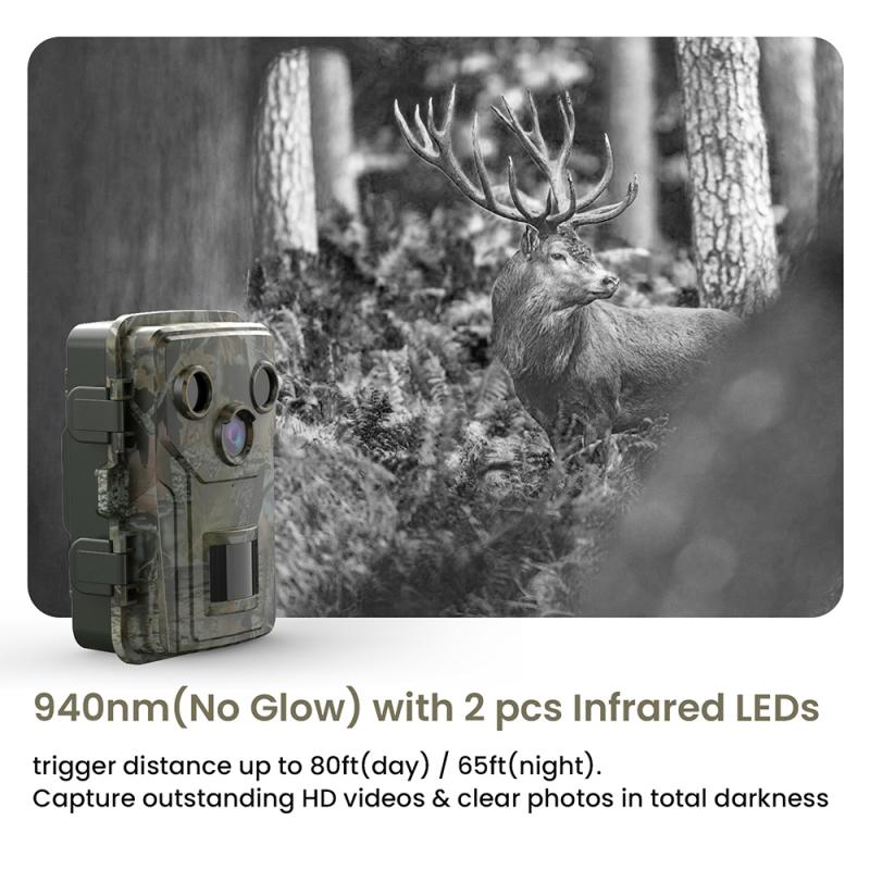 Storage Capacity: Determining the ideal GB size for a trail camera.
