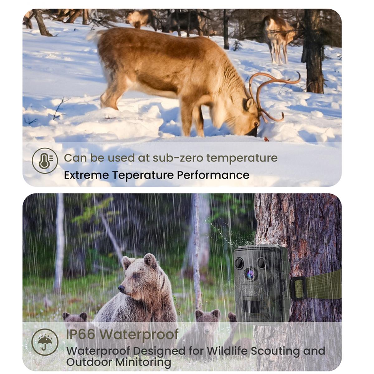 Mini Game Camera, 20MP 1080P Night Vision Waterproof, 120° Wide-Angle Sports Advanced Sensor View 0.2 Seconds Trigger Time 2.0 Inch LCD for Wildlife Monitoring + 32GB Memory Card