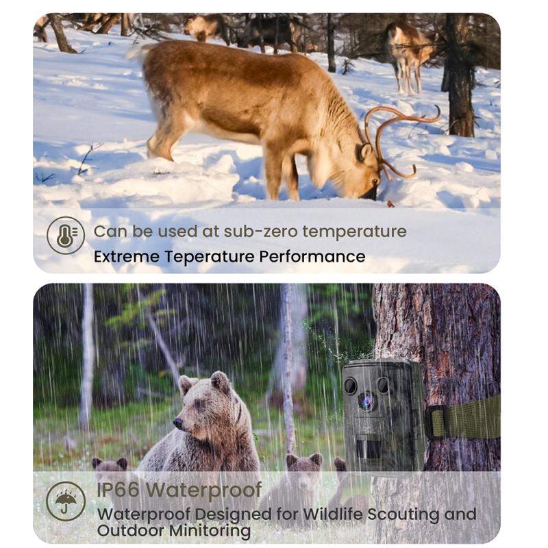 Impact of Trail Cameras on Deer Behavior