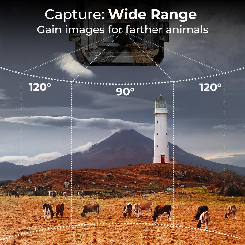 Tripod Stability: Surface and Base Considerations
