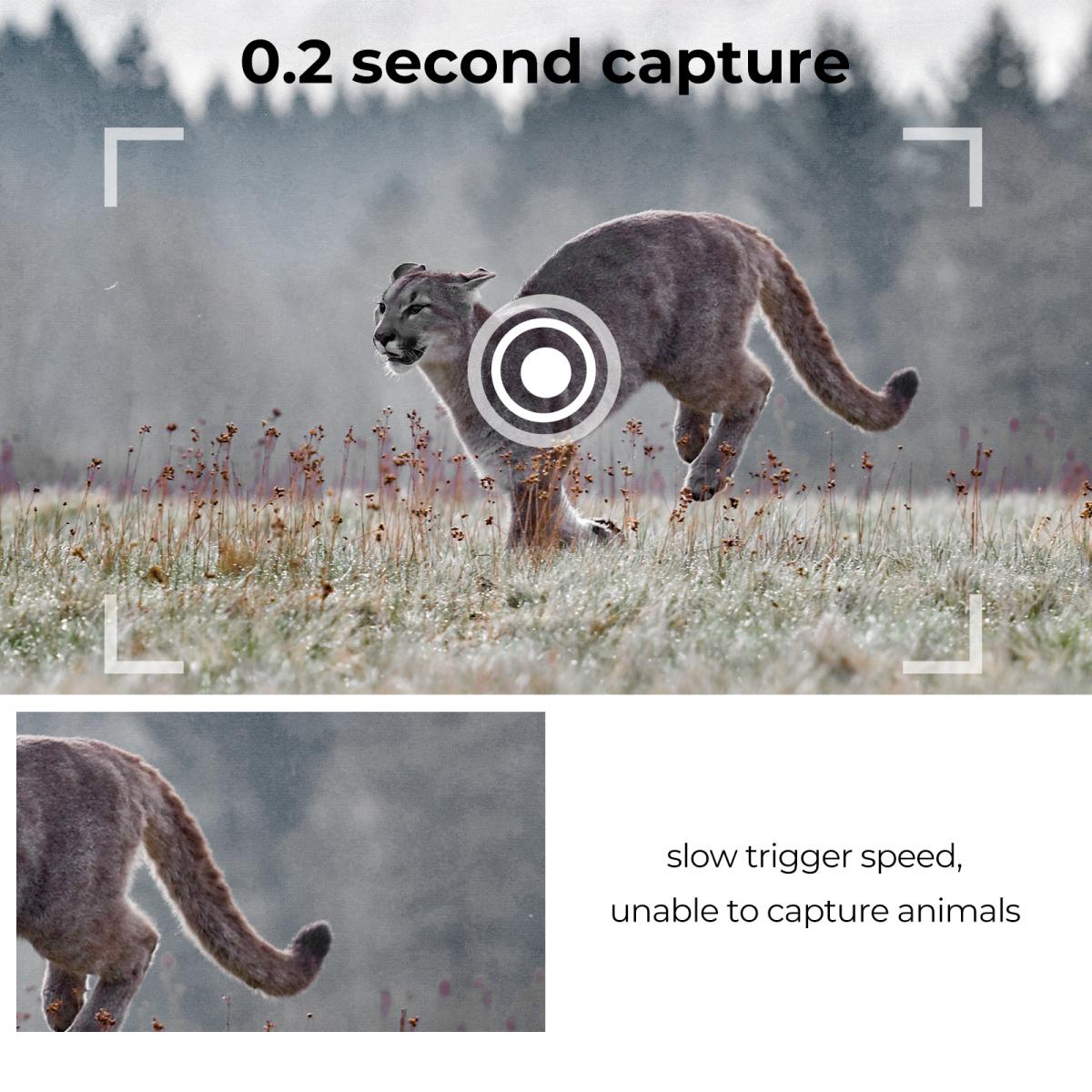 1296P 24MP Wildlife Camera, Trail Camera with 120°Wide-Angle Motion Latest Sensor View 0.2s Trigger Time IP66 Waterproof|white rock