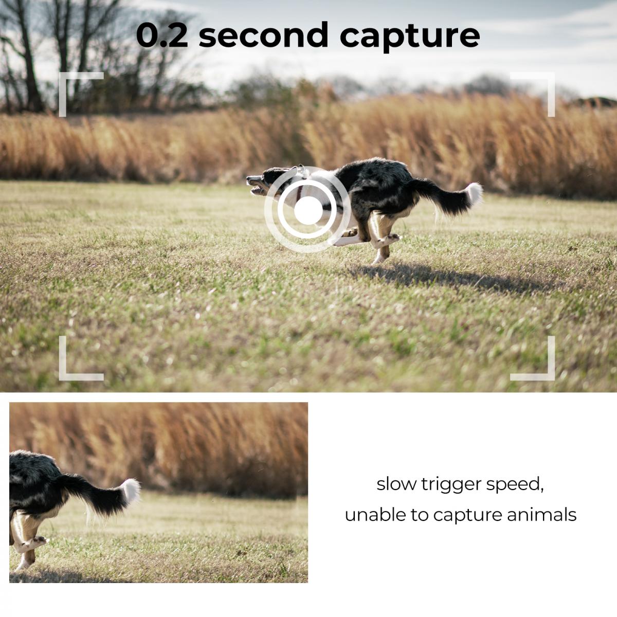 24MP*1296P night vision, 120° wide angle*0.2S trigger 2-inch screen hunting camera bark color*3 sets