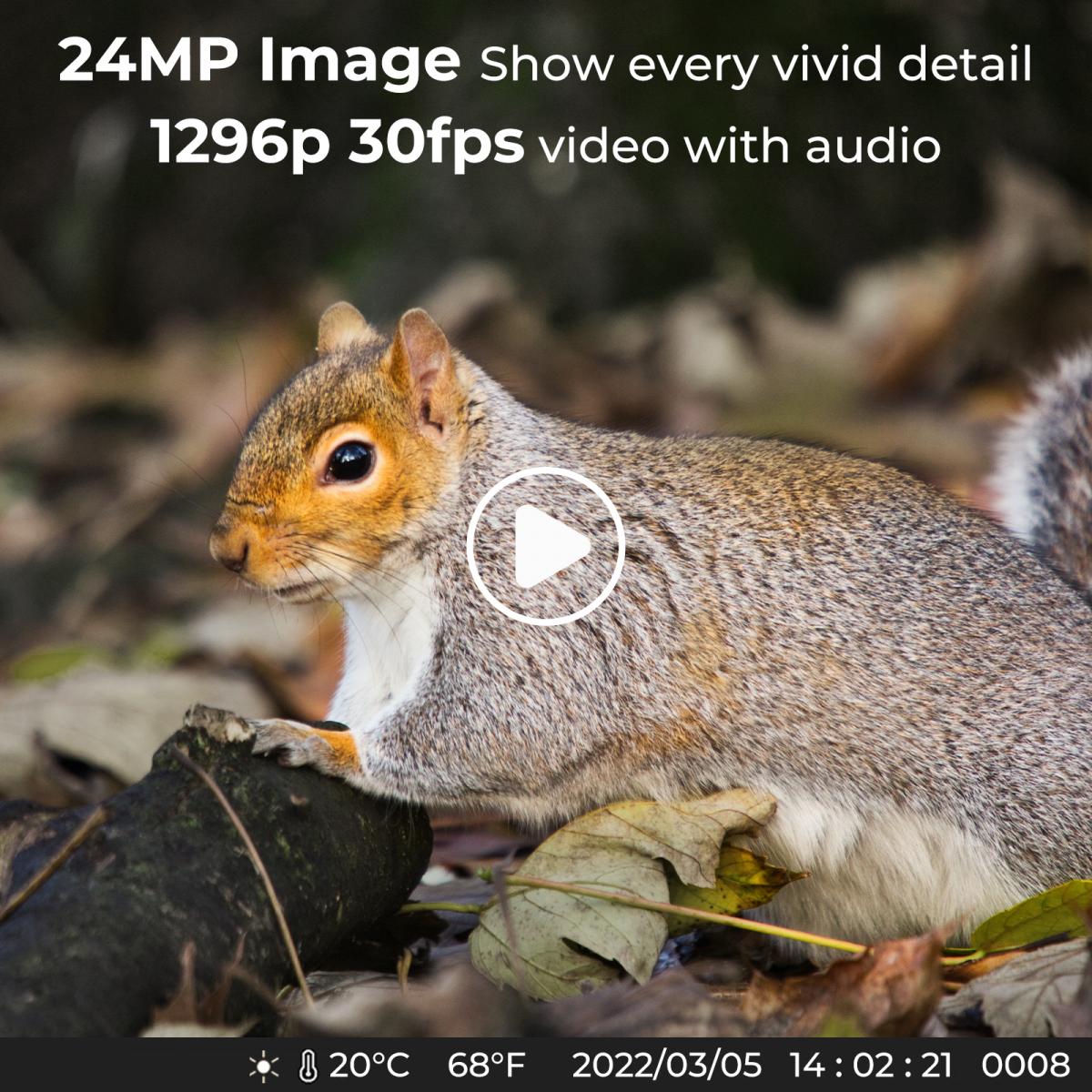 24MP*1296P night vision, 120° wide angle*0.2S trigger 2-inch screen hunting camera bark color*4 sets