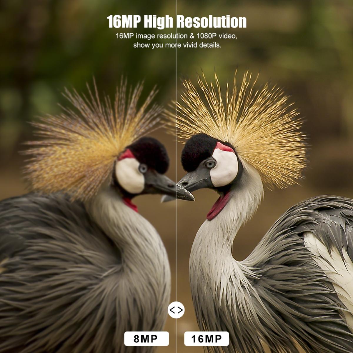 1080P 16MP HD Waterproof Outdoor Hunting Infrared Night Vision Triggered Mini Camera with 64G SD Card and Quick Installation Tree Spike Combo Set