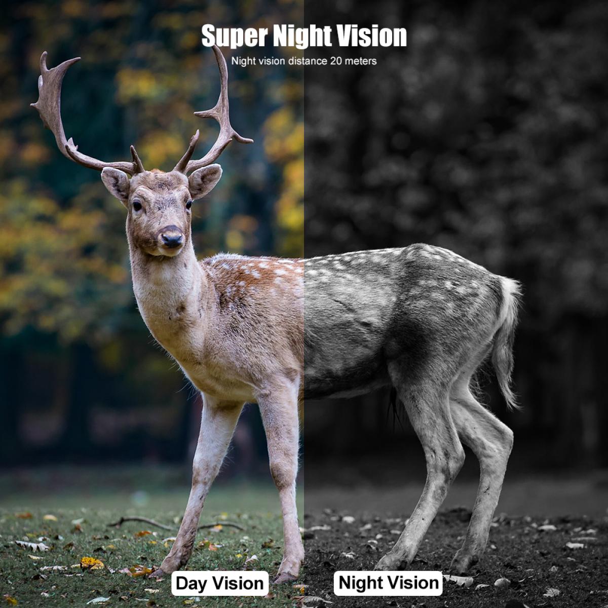 1080P 16MP HD Waterproof Outdoor Hunting Infrared Night Vision Triggered Mini Camera with 64G SD Card and Quick Installation Tree Spike Combo Set