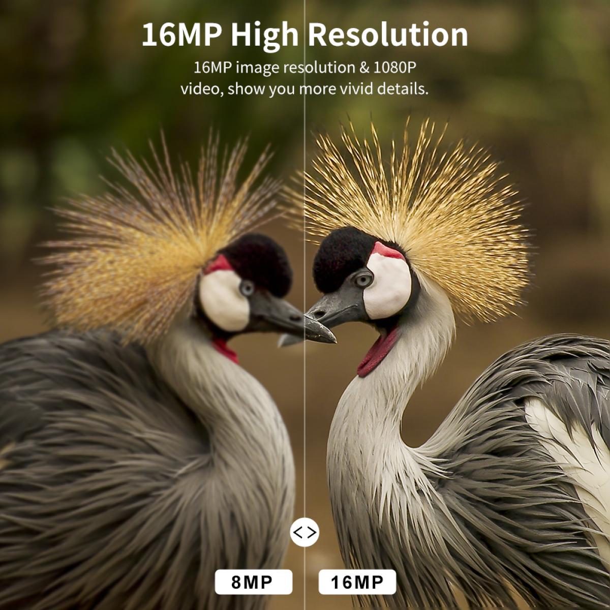 1080P 16MP HD Waterproof Outdoor Hunting Infrared Night Vision Triggered Mini Camera with 64G SD Card and Quick Installation Tree Spike, Multifunctional Card Reader Combo Set