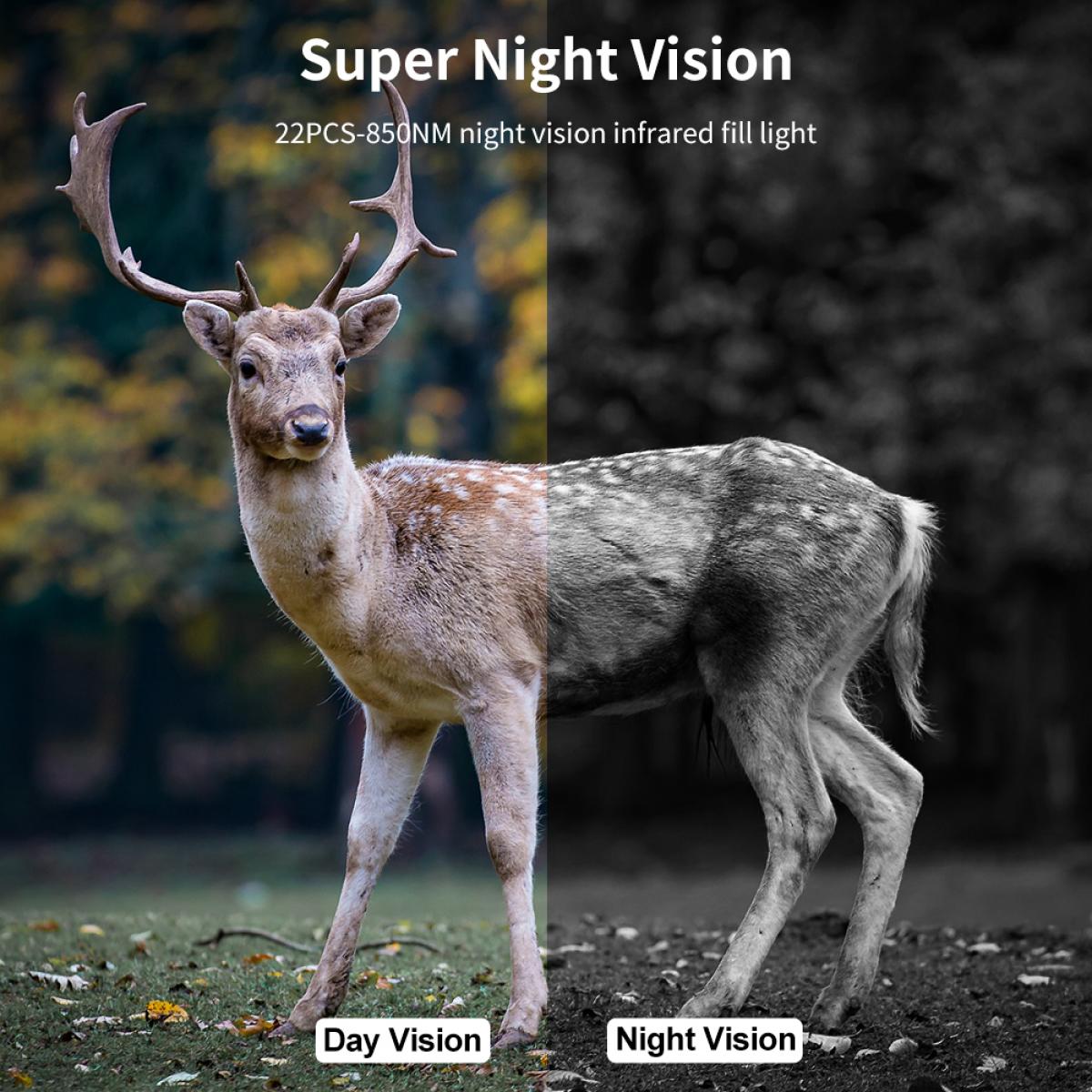 1080P 16MP HD Waterproof Outdoor Hunting Infrared Night Vision Triggered Mini Camera with 64G SD Card and Quick Installation Tree Spike, Multifunctional Card Reader Combo Set