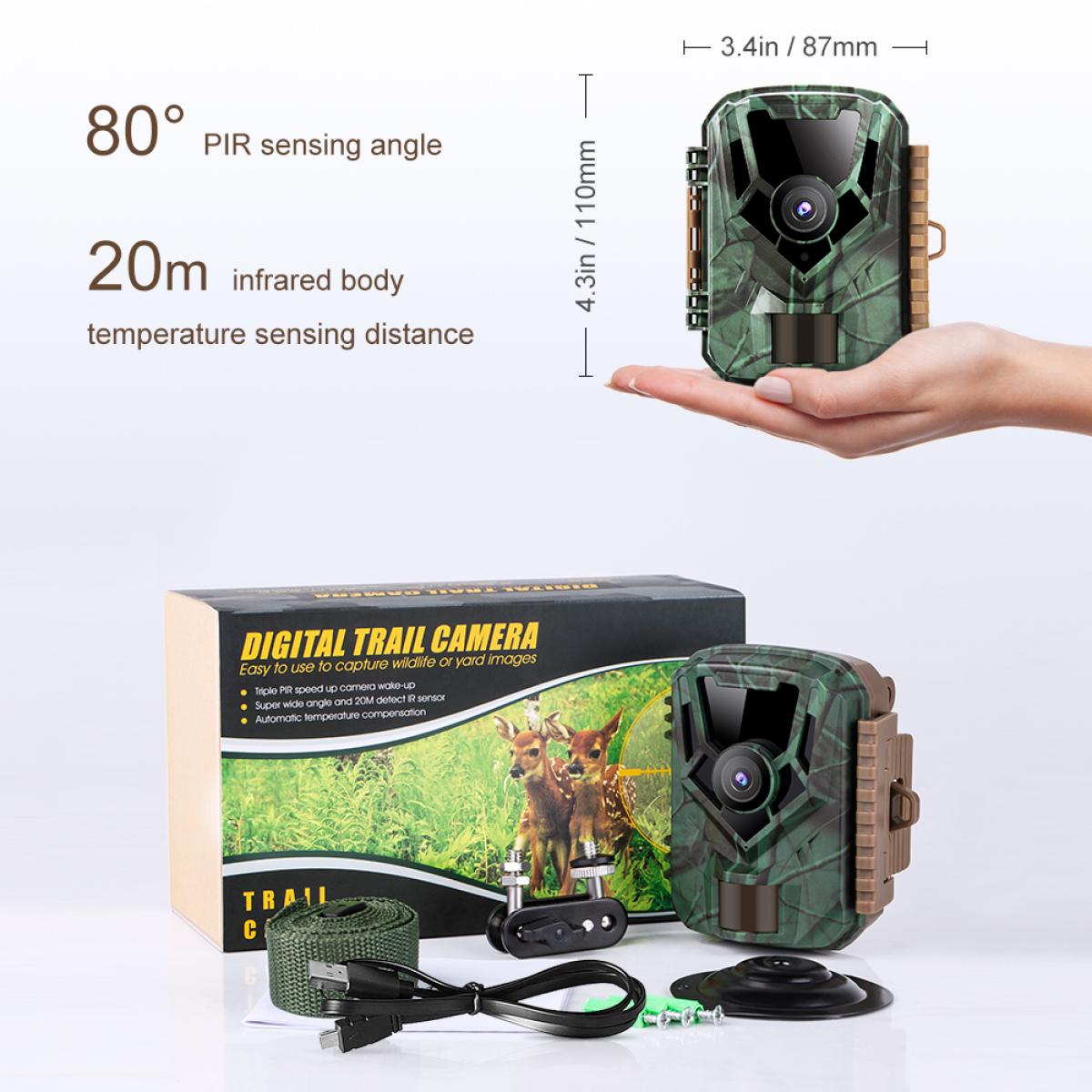 1080P 16MP HD Waterproof Outdoor Hunting Infrared Night Vision Triggered Mini Camera with 64G SD Card and Quick Installation Tree Spike, Multifunctional Card Reader Combo Set