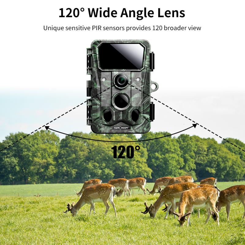 To sum up, the best wireless trail camera is the one that fits your needs and budget. Consider the resolution, battery life, memory card size and night vision quality when making your purchase. You can also find some great deals online if you shop around. Don't forget to check customer reviews before buying to make sure you're getting a quality product. Don't forget that your wireless trail camera can also be used for fun activities such as camping, fishing and photography. So, why not take the plunge and purchase your own wireless trail camera today?