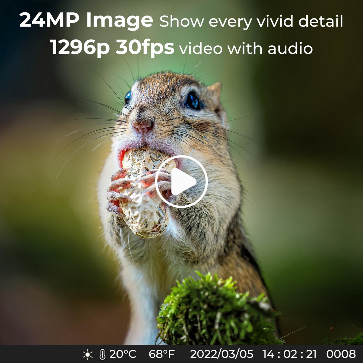 24MP*1296P Night Vision, 120° Wide-Angle*0.2S Trigger 2-Inch Screen Hunting Camera Fall Color + 32G Memory Card