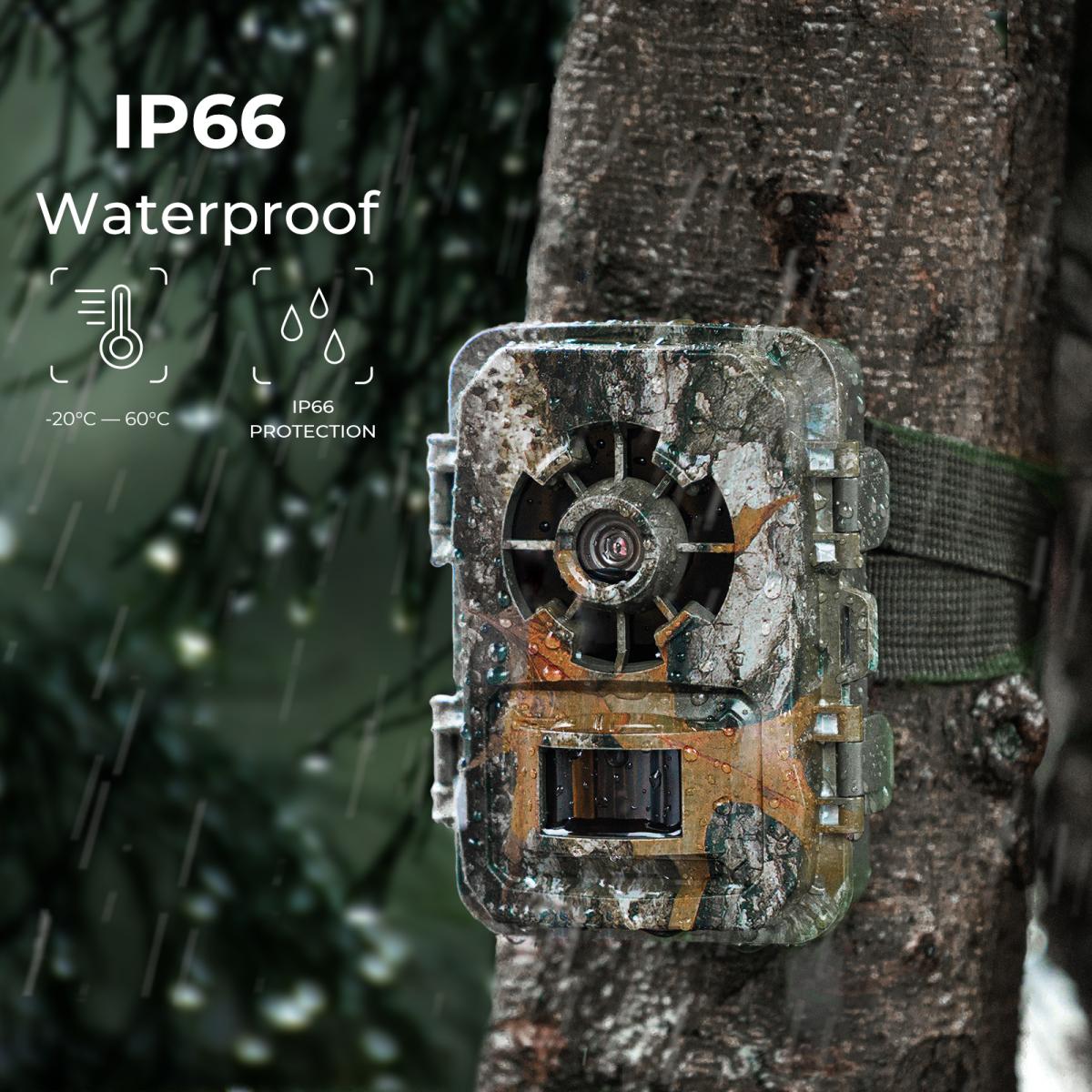 24MP*1296P Night Vision, 120° Wide-Angle*0.2S Trigger 2-Inch Screen Hunting Camera Fall Color + 32G Memory Card