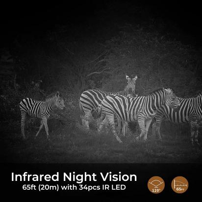 Can Trail Cameras Be Used For Home Security?