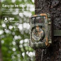 Can Trail Cameras Record Video?