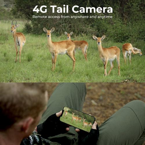 Automatic Motion Detection Capture