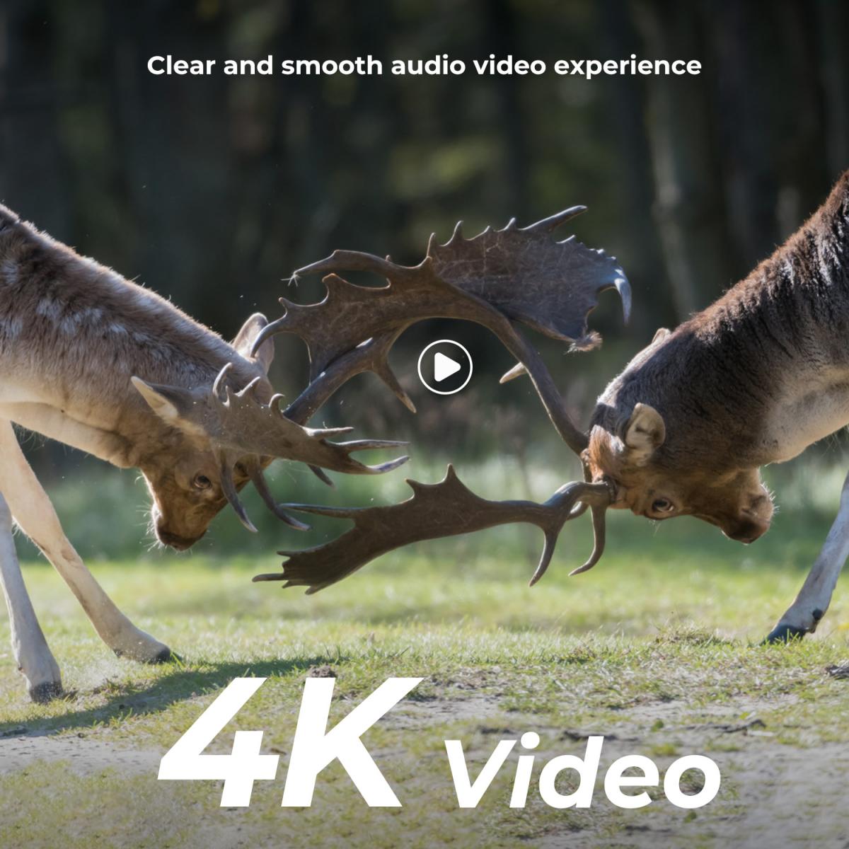 Motion Sensor Trail Camera 4K 48MP Ultra HD KENTFAITH