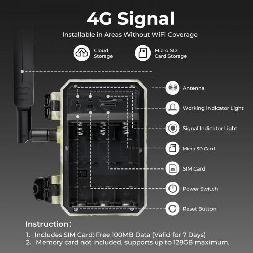 Live Cellular Video Feed