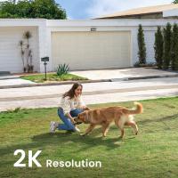 What Is Nvr Security Camera System?