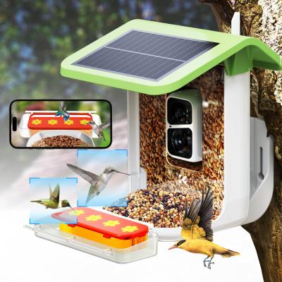 K&F Concept Smart Bird Feeder with Camera, 2-in-1 Bird Feeder Perch, 1080P HD AI Identify Hummingbird Feeder Camera, Auto Capture Bird Videos & Identify 10000+ Bird Species, Ideal Gift for Bird Lover