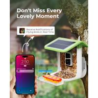 What Is The Best Bird Feeder For Large Birds?