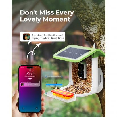 What Is The Best Bird Feeder For Large Birds?