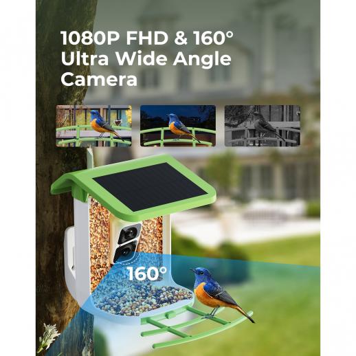 Caméra intelligente d'alimentation d'oiseaux, ai reconnu automatiquement  les oiseaux, image HD 1080p, charge solaire - K&F Concept