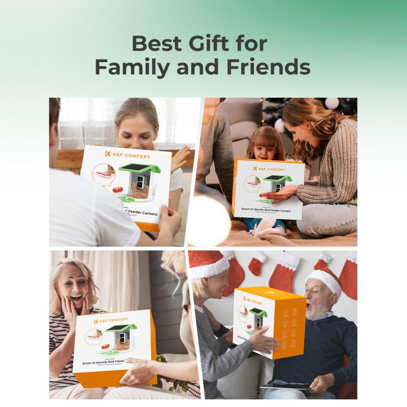 what is the best bird feeder for large birds? 4