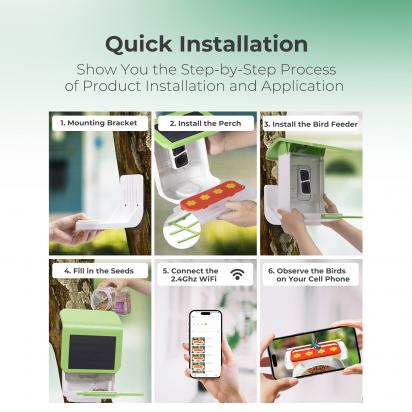 Which Bird Feeder With Camera Is Best?