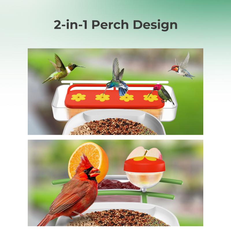what is the best bird feeder for large birds? 2