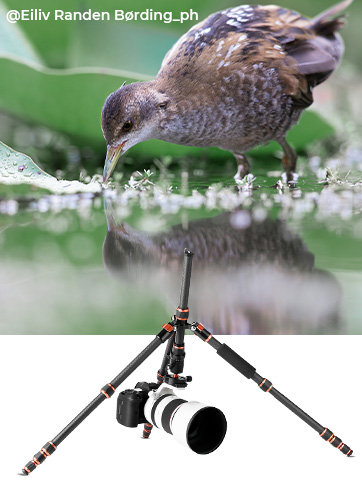 K&F CONCEPT Treppiede per Fotocamera