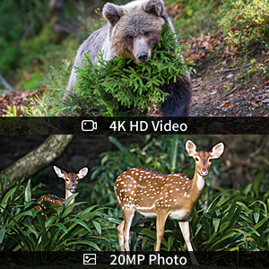 4KフルHDビデオトレイルカメラ