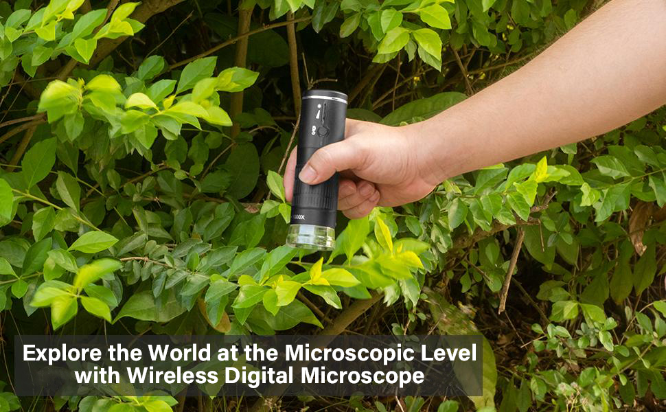 Wireless Digital Microscope, Ankylin 50x-1000x Portable Handheld