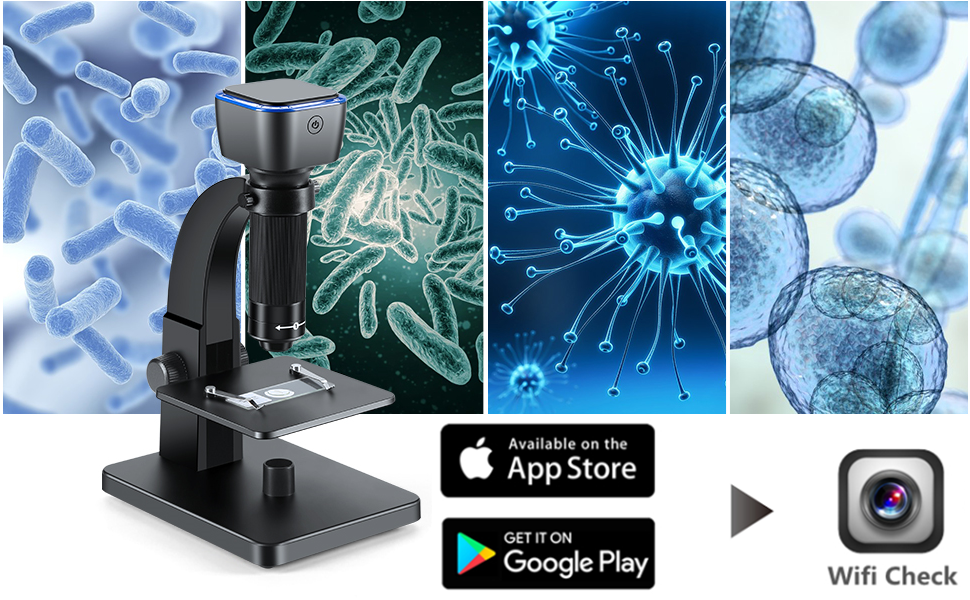 Microscope professionnel portable HD 2000X, système d'éclairage pour  touristes, support pour smartphone, expérience scientifique, cadeau