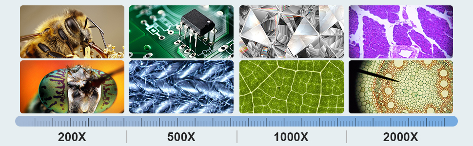 LCD Digital Microscope, 7