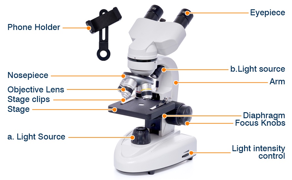 parts of a microscope
