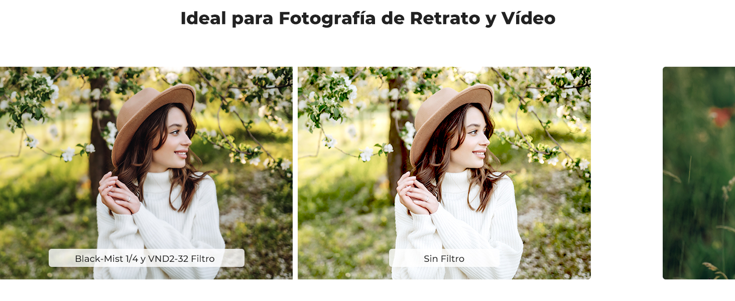 Primera diapositiva