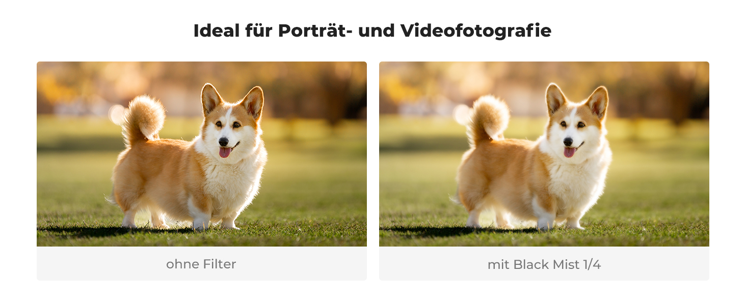 Dritte Folie