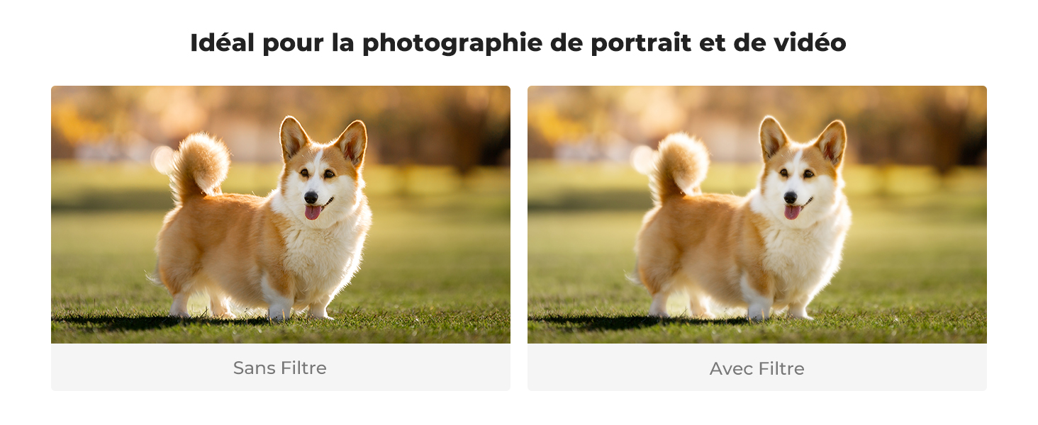 Troisième diapositive