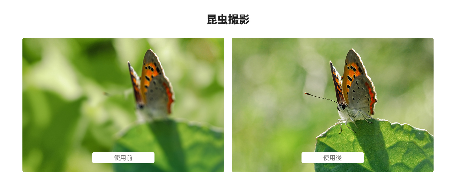 3番目のスライド