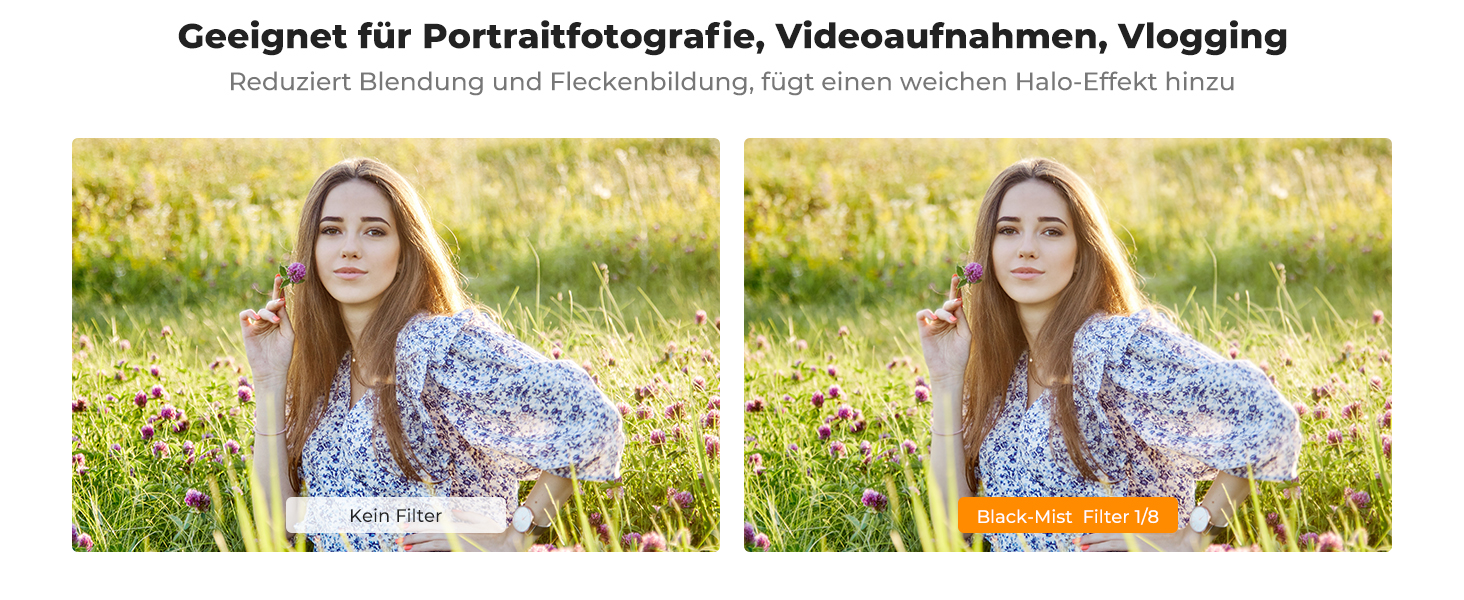 Erste Folie