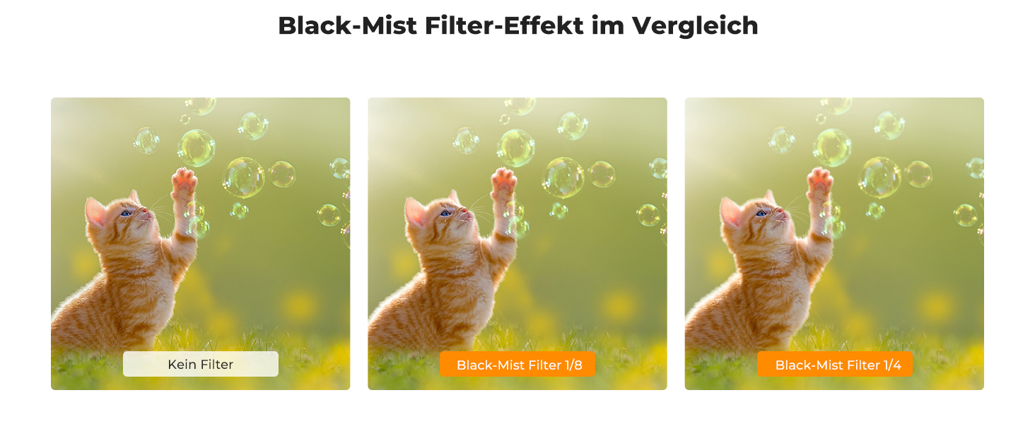 Dritte Folie